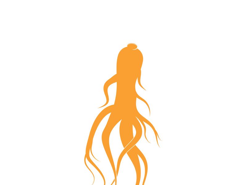 Ginseng logo design template and symbol icon vector illustration