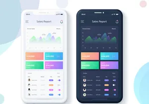 Sales Data Report Mobile App UI