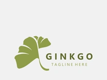 Ginkgo leaf biloba logo nature. Healthy ingredient that is used in medicine for disease treatment with line art style design