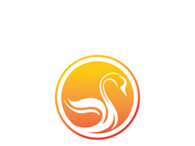 Swan logo Premium and symbol Vector