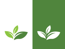 Green tree leaf nature logo images illustration design