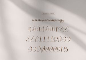 Fortune Messenger | Handwritten Script