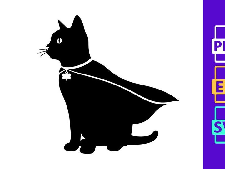 Black cat in cape and shamrock charm