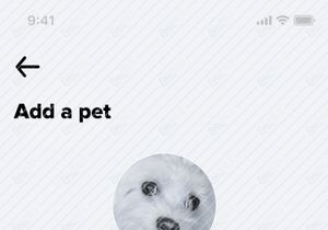 Pet Walk App - Free UI Kit