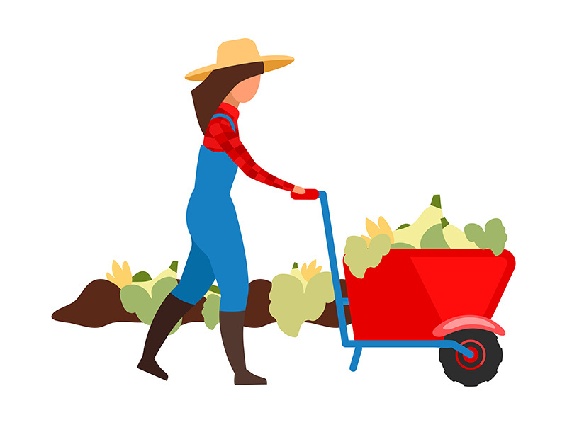 Female farmer harvesting, transporting crops flat vector illustration