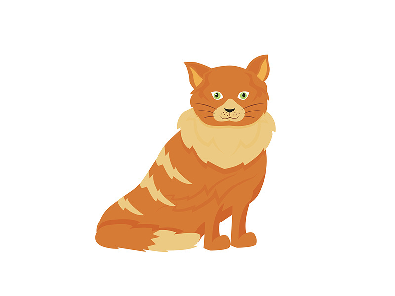 Tabby cat flat color vector character