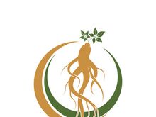 Ginseng logo design template and symbol icon vector illustration