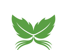 Green tree leaf nature logo images illustration design