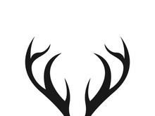 Deer logo template vector icon illustration design