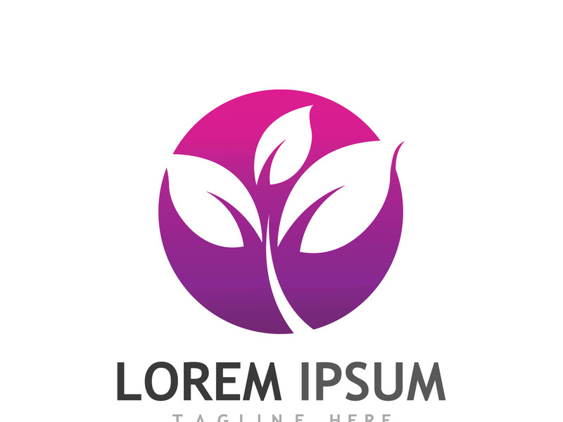 Colorful natural leaf logo design.