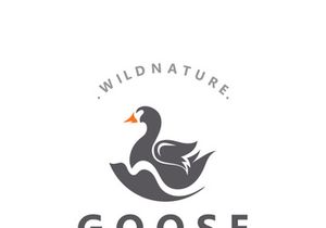 Animal Goose bird nature logo with modern style inspiration. premium design
