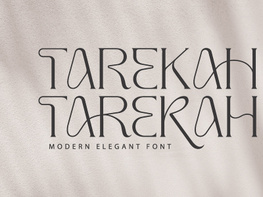 Tarekah | Modern Serif Font preview picture