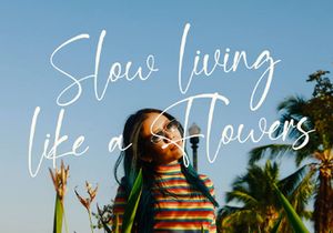 Bung Virgi - Signature Script Font