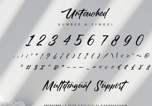 Untouched - Brush Script Font