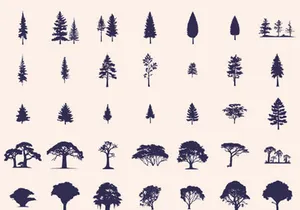 Silhouettes Trees Set, Pine Tree fir pruce cedar white patch alder elm birch ash cypress beech palm tree.