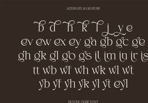 Beyline - Unique Elegance Serif Typeface Font