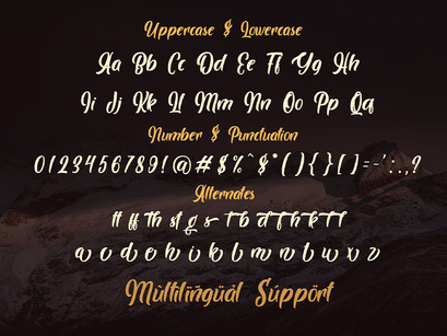 Brogads - Bold Script Retro Font