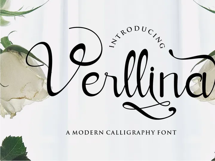 Verllina preview picture