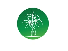 Sugarcane logo vectcr