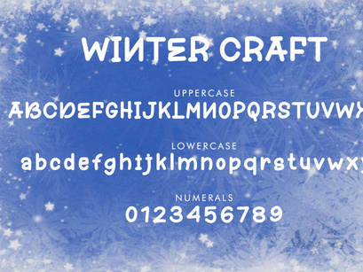 Winter Craft