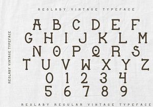 Reslaby - Vintage Typeface