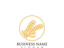 Agriculture wheat logo and symbol vector