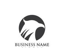 Falcon Eagle bird Logo Template vector illustration design