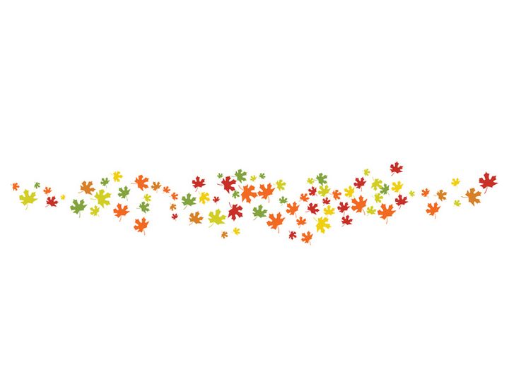 Maple Leaf design illustration