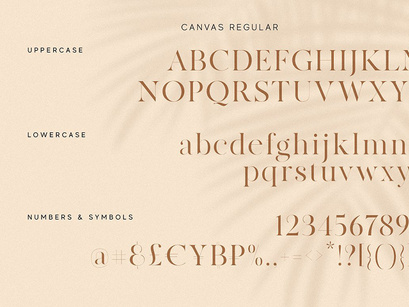 Canvas Font Family - Free Demo