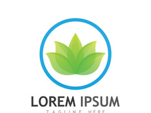 Colorful lotus flower logo design.