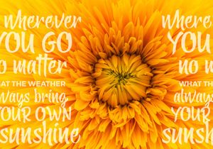 Yellow Ginger Font
