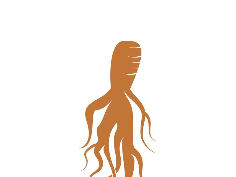 Ginseng logo design template and symbol icon vector illustration