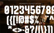Stocking - Condensed Sans Serif