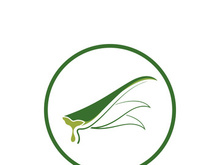 Aloe Vera logo icon design symbol beauty skin care