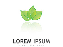 Natural green leaf logo design.