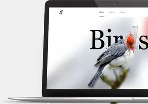 Birds Website Design-Free Glassmorphism-Responsive