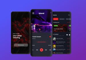 Music Concert App UI