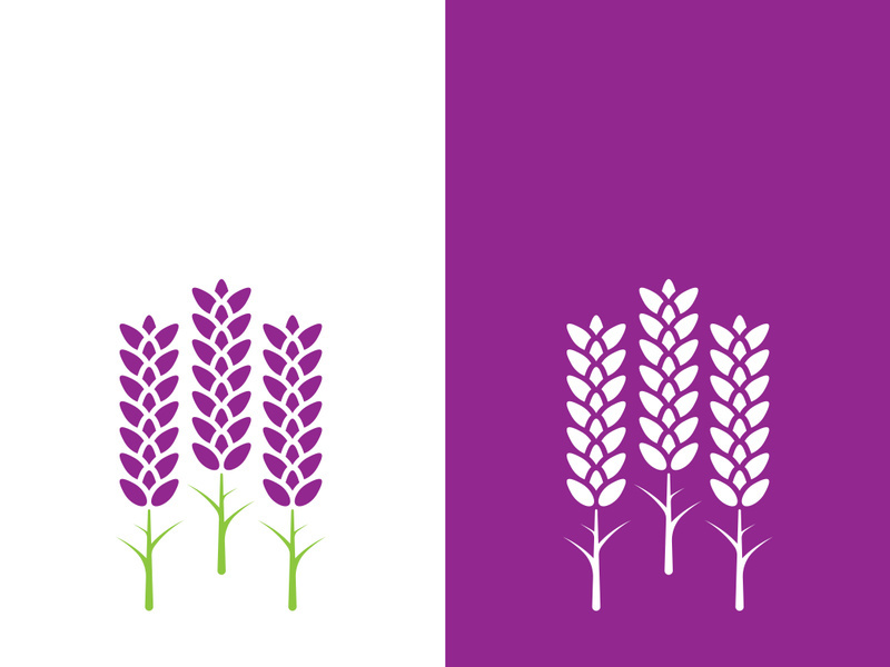 Fresh lavender flower logo vector flat design