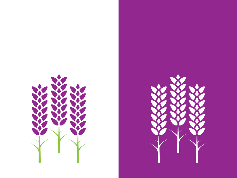 Fresh lavender flower logo vector flat design