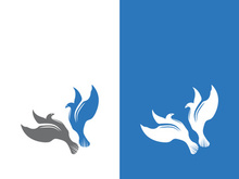 Dove bird logo vector design illustration