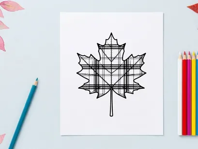 Detailed maple leaf illustration for nature and botanical projects. Artistic botanical drawing showcasing intricate leaf structure and natural beauty.