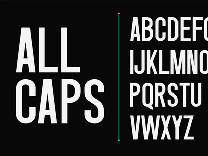 Singo | Sans Display Font