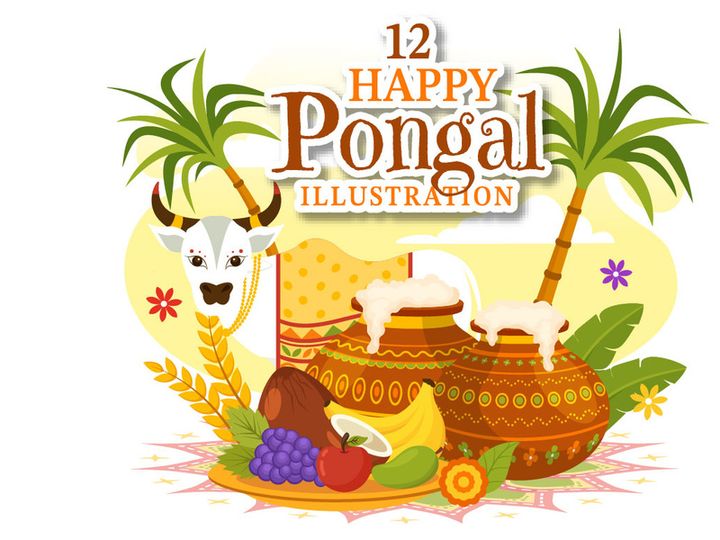 12 Happy Pongal Illustration