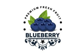 Blueberry Logo, Garden Farm Fresh Fruit Vector