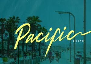 Palmia Startos | Retro Brush Script