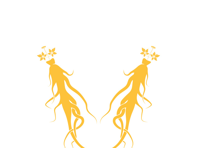 Ginseng logo design template and symbol icon vector illustration
