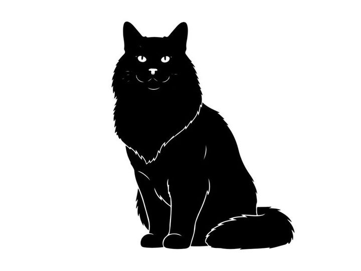 Black cat silhouette sitting facing forward