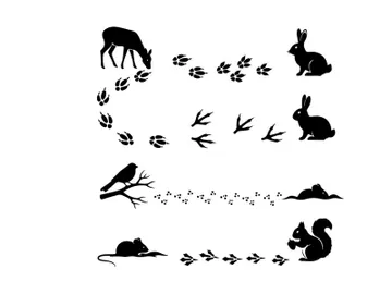 Forest creatures silhouette graphic featuring various animals preview picture