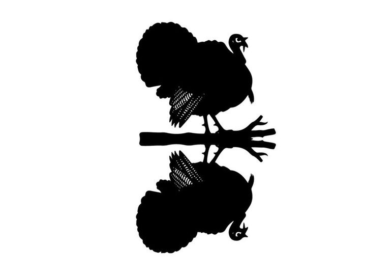 Silhouette of a turkey on a tree branch at night