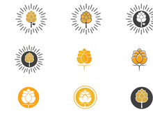 Beer Flower Logo vector